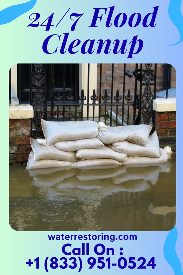 24/7 Flood Cleanup in Henderson Point, MS