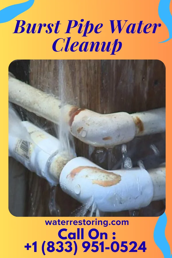 Burst Pipe Water Cleanup in Henderson Point, MS