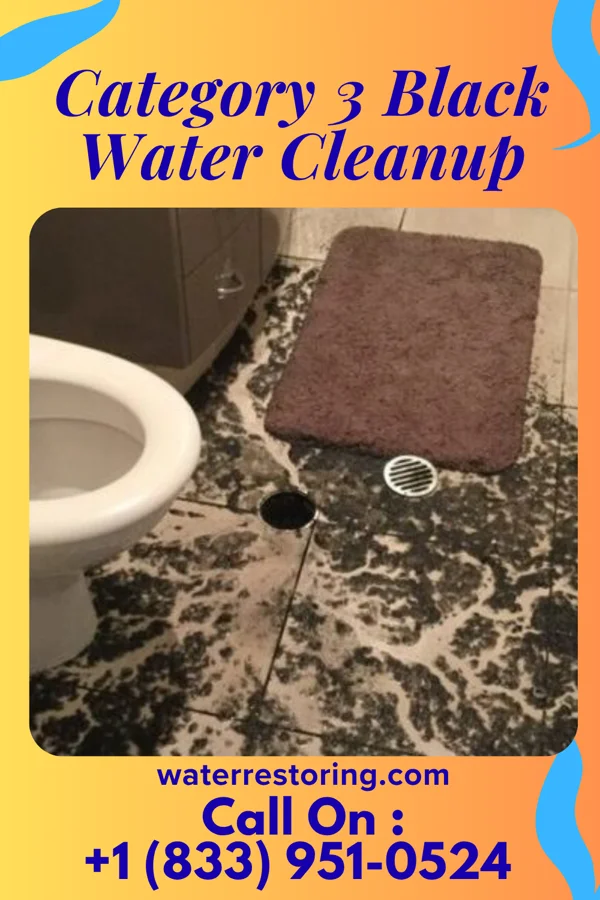 Category 3 Black Water Cleanup in Henderson Point, MS