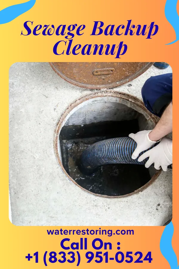 Sewage Backup Cleanup in Henderson Point, MS