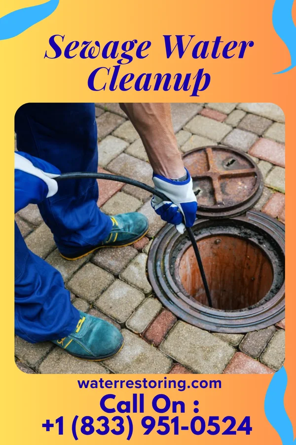 Sewage Water Cleanup in Henderson Point, MS